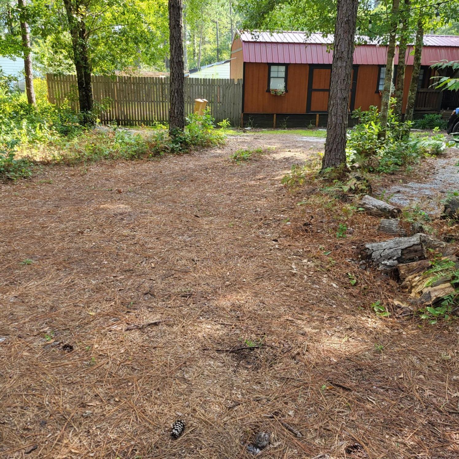 Fern Gully Cabin Конуэй Экстерьер фото